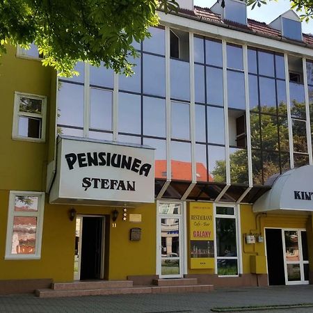 Bistriţa Pensiunea Stefan מראה חיצוני תמונה